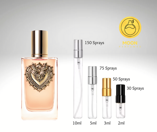 Dolce & Gabbana Collection