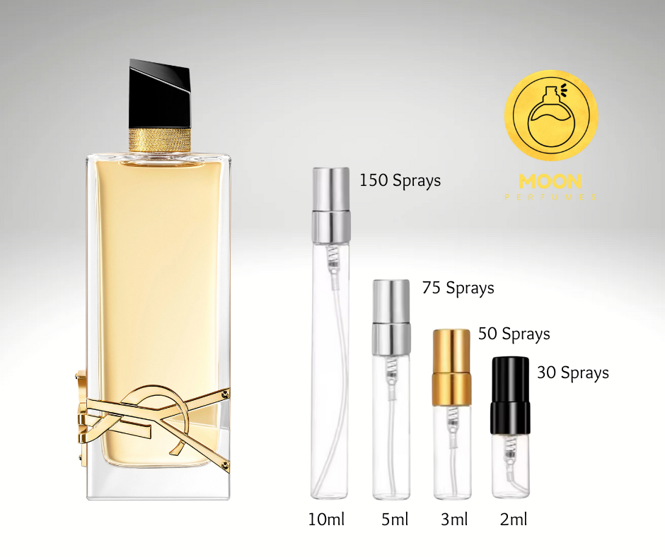 YSL Collection