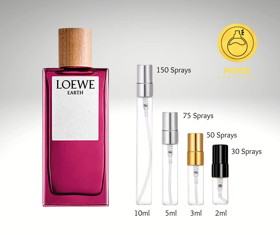 Loewe Collection