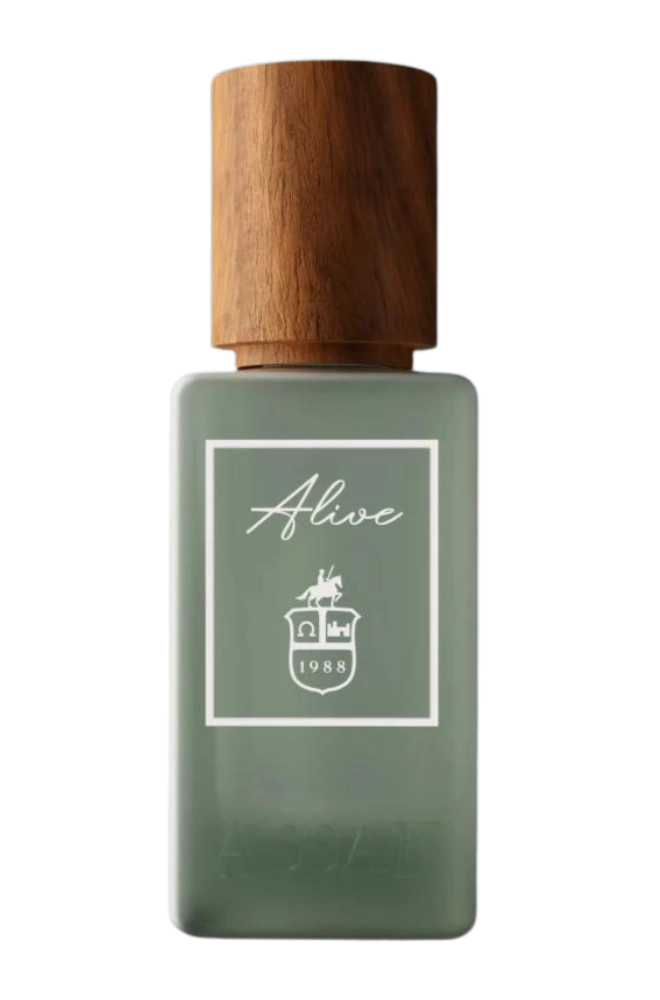 Assaf Collection 2
