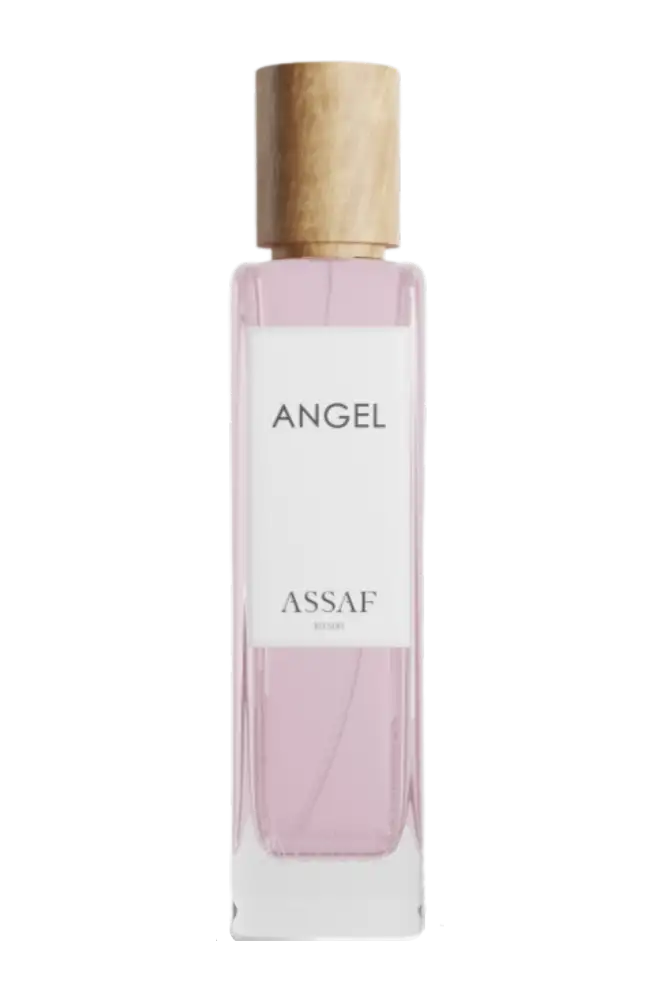 Assaf Collection 2