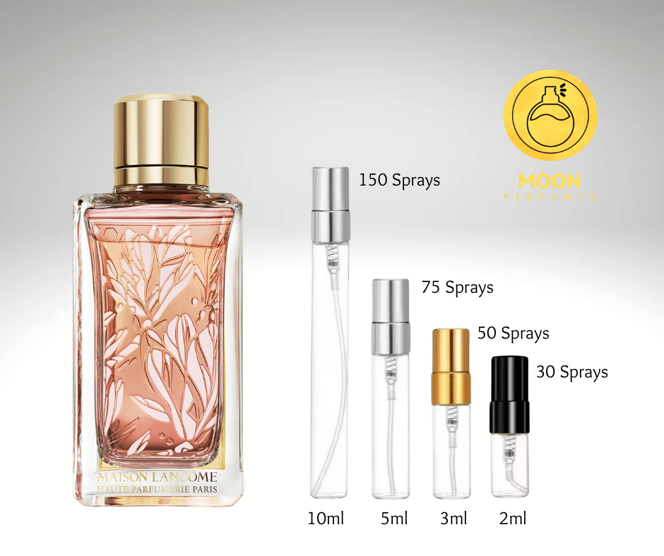 Maison Lancome Collection