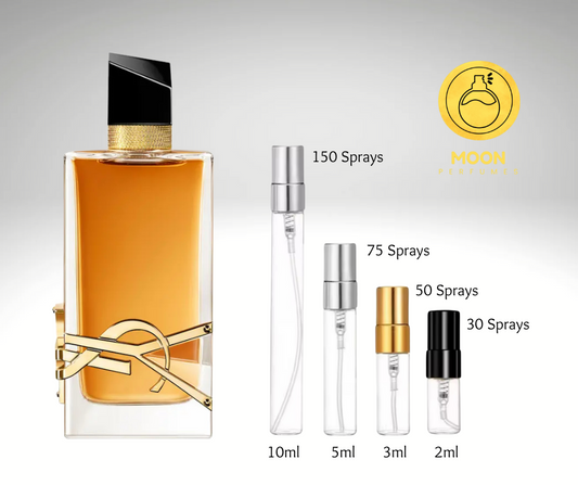 YSL Collection
