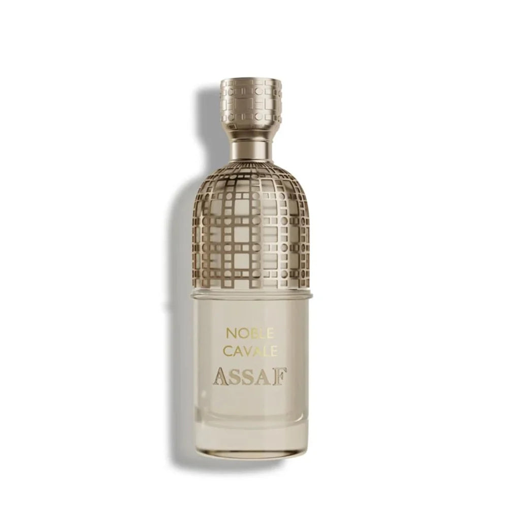 Assaf Collection 4