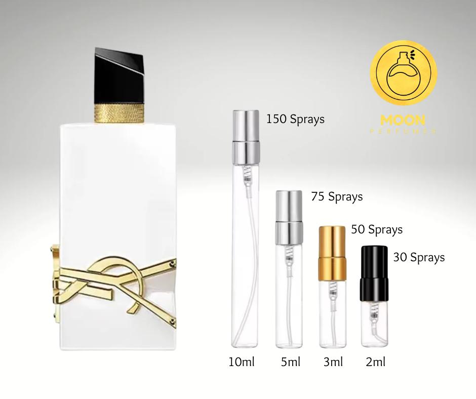 YSL Collection