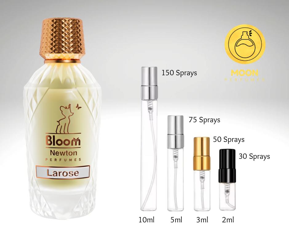 Bloom Perfumes Collection